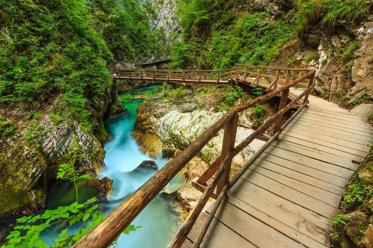 Lake Bled Holiday Home Ngoại thất bức ảnh